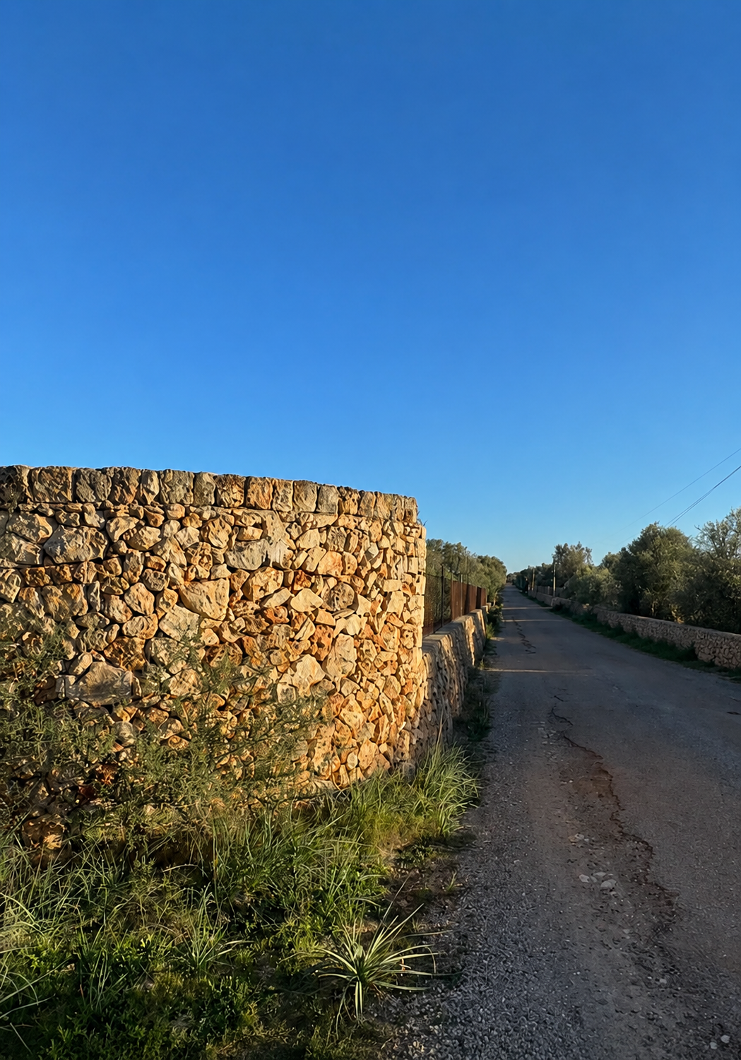 Ses Salines – Terrenos con Proyecto de Villas — Ses Salines